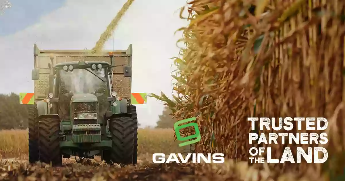 GAVINS Ltd