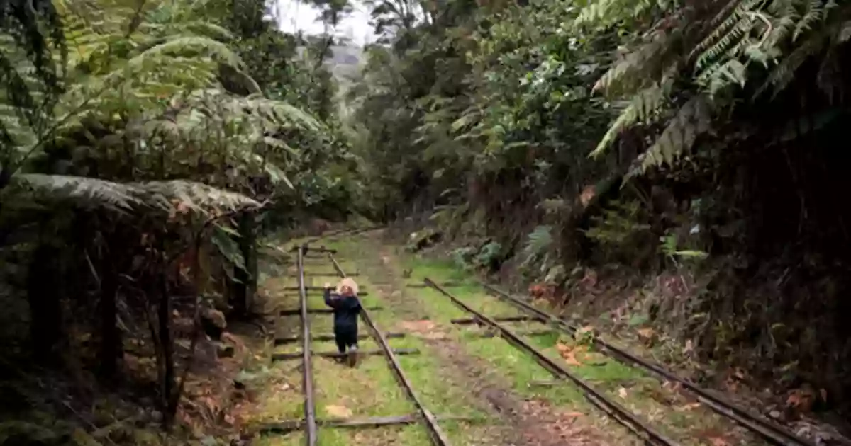 Te Aroha Mountain Gold Mining Walking Tracks