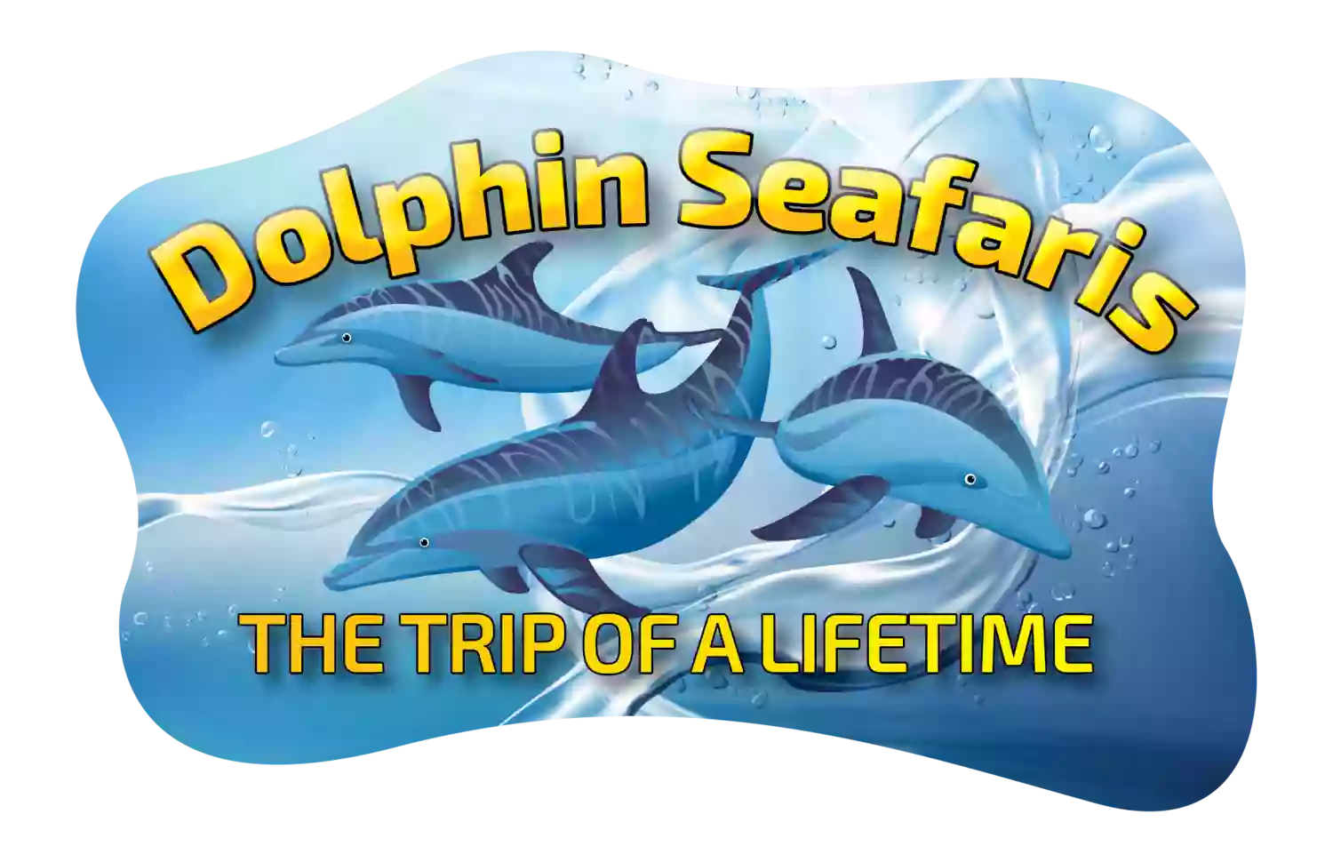 Dolphin Seafaris NZ