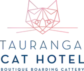 Tauranga Cat Hotel
