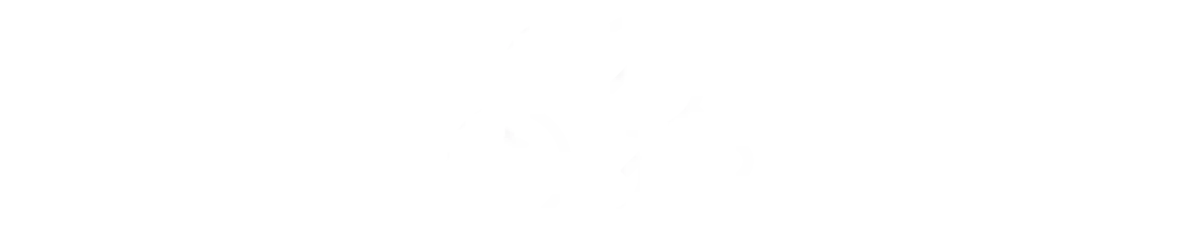 DecisionMakers Tauranga