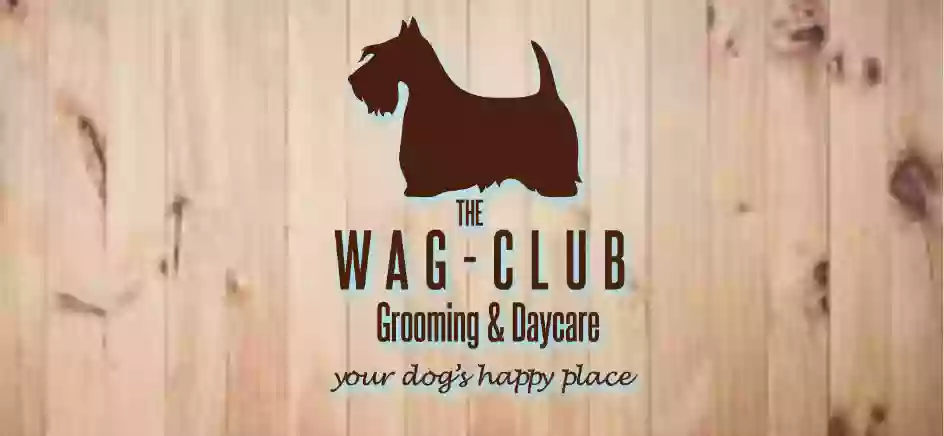 The Wag-Club Dog Grooming and Doggy daycare Papamoa