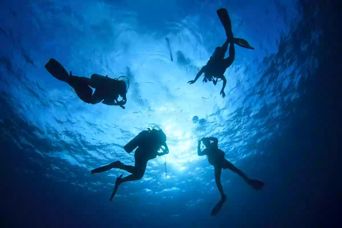 Dive Zone Tauranga