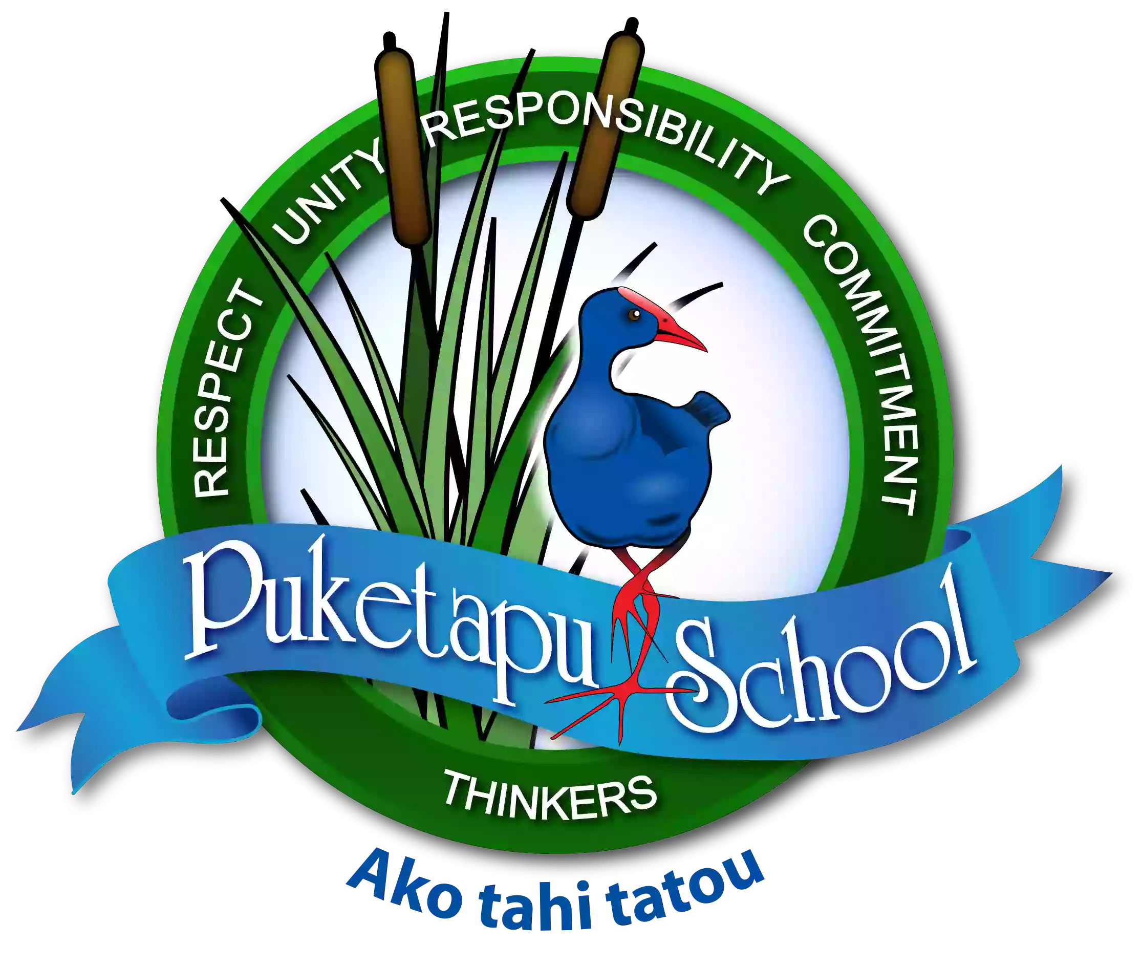 Puketapu School