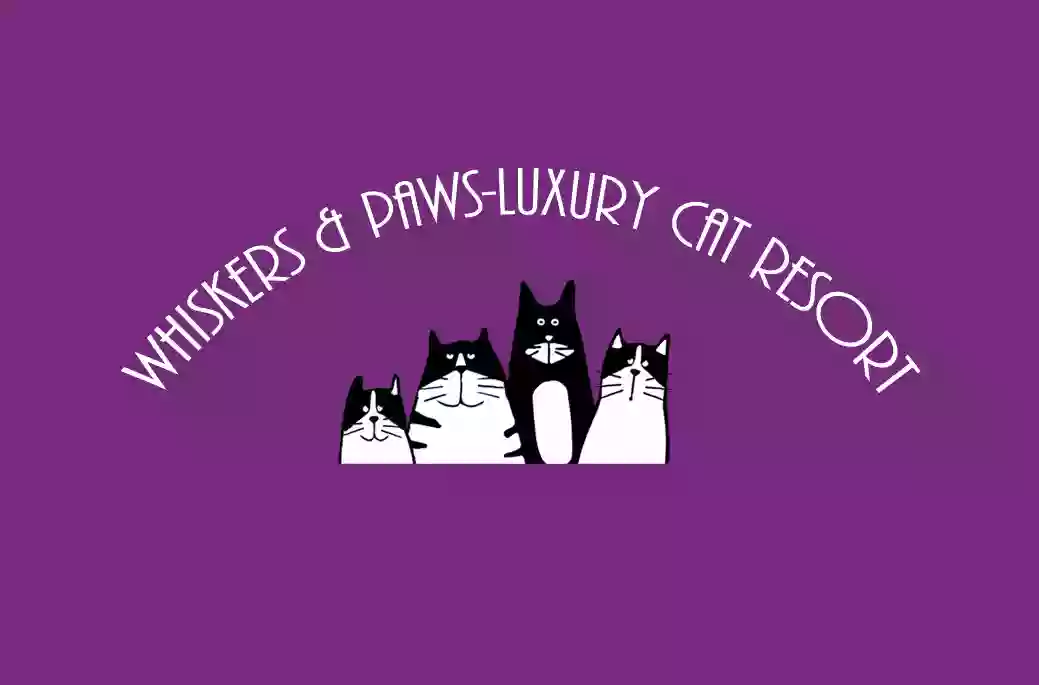 Whiskers & Paws Luxury Cat Resort