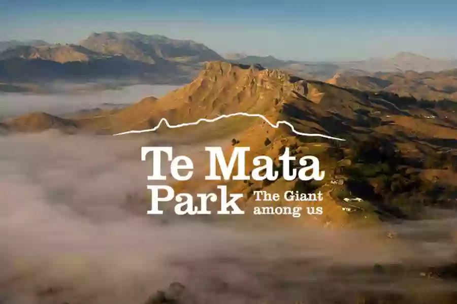 Te Mata Park Main Gates Car Park