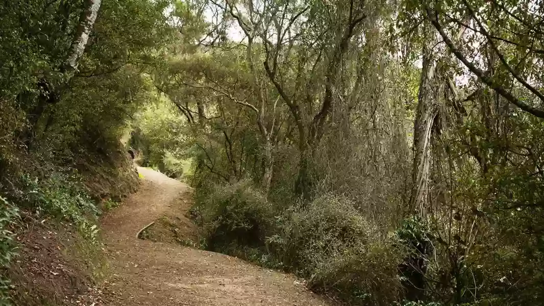 Outram Glen to Lee Stream Walk