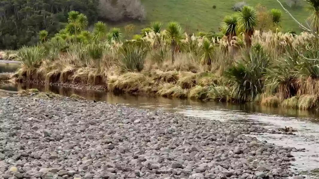 Orokonui Lagoon Walk