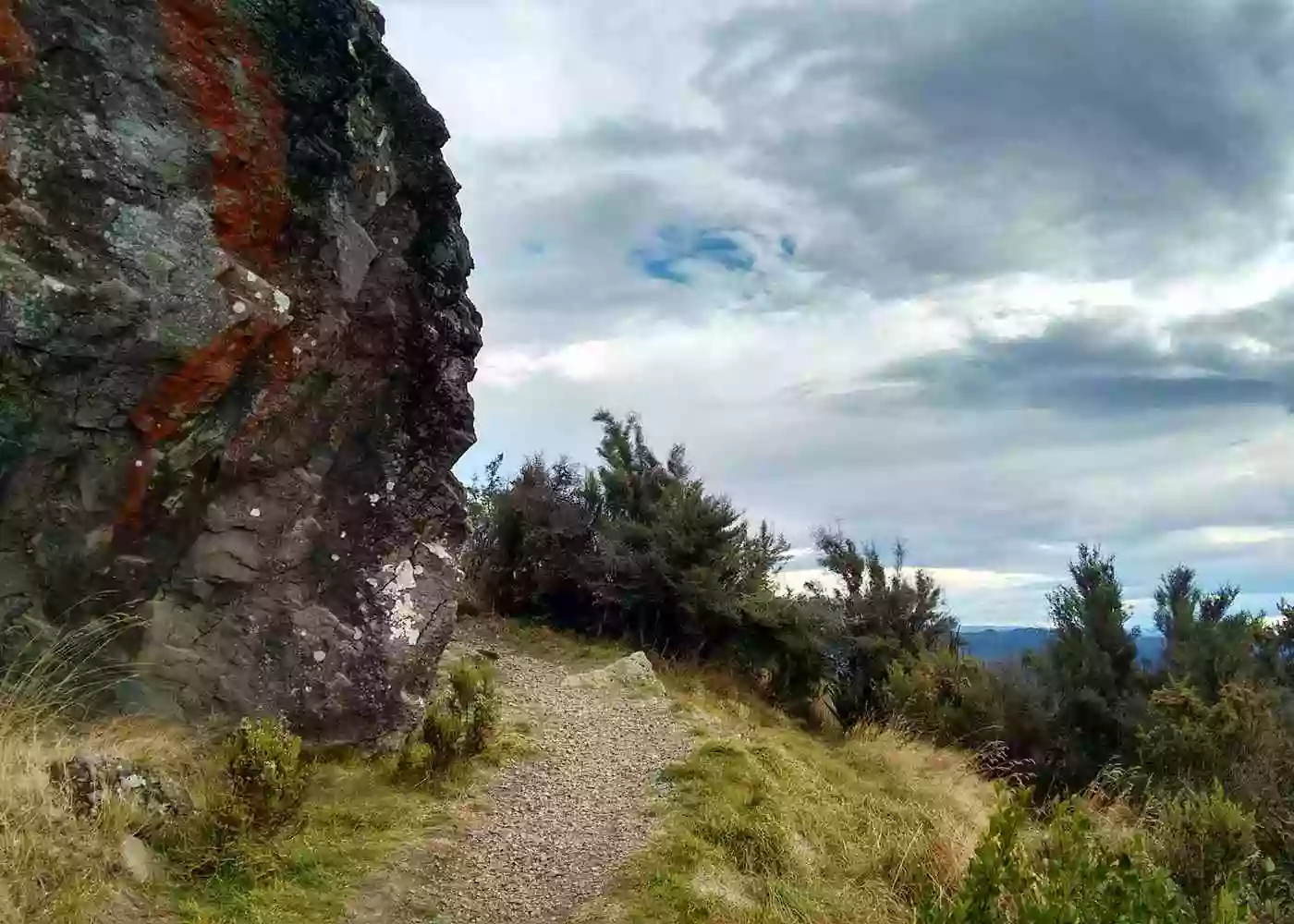 Mount Cargill Lookout