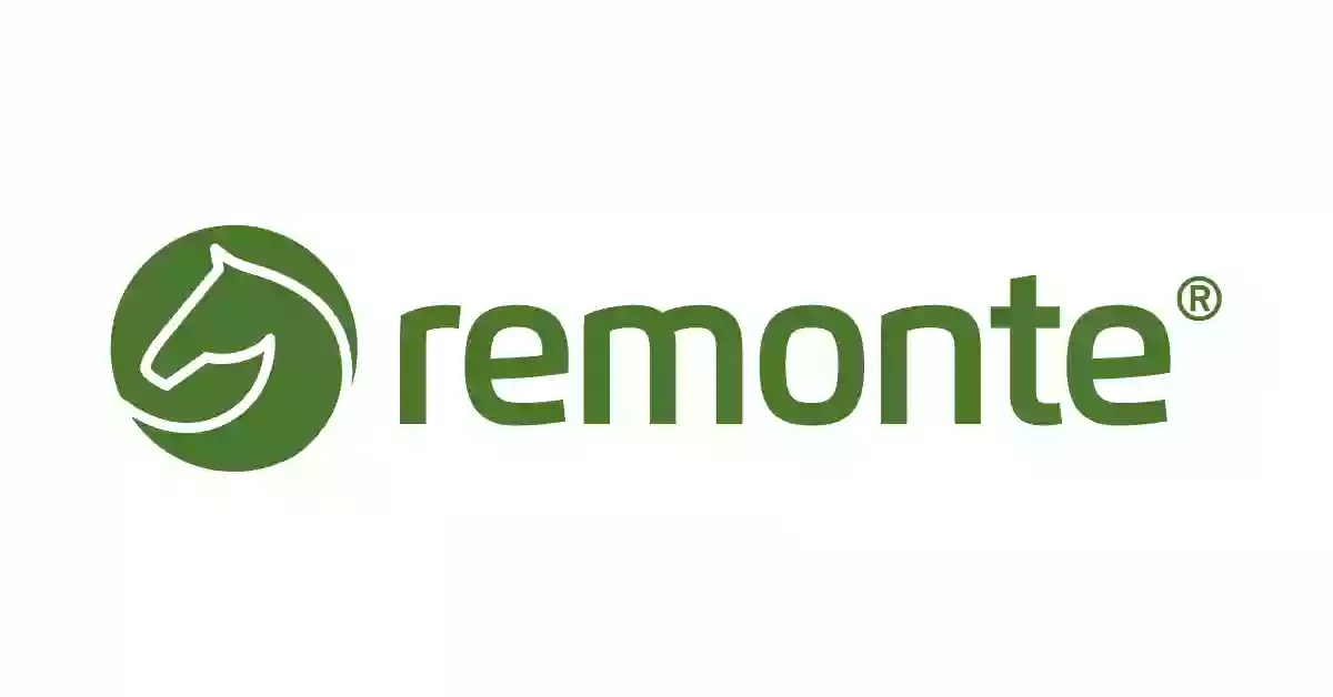 Remonte (Ремонте)