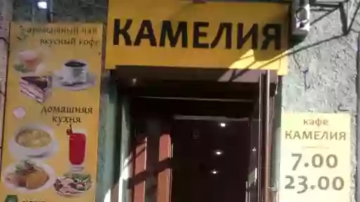 Кафе Камелия. Кафе, рестораны, банкетные залы в Харькове. Холодная гора.