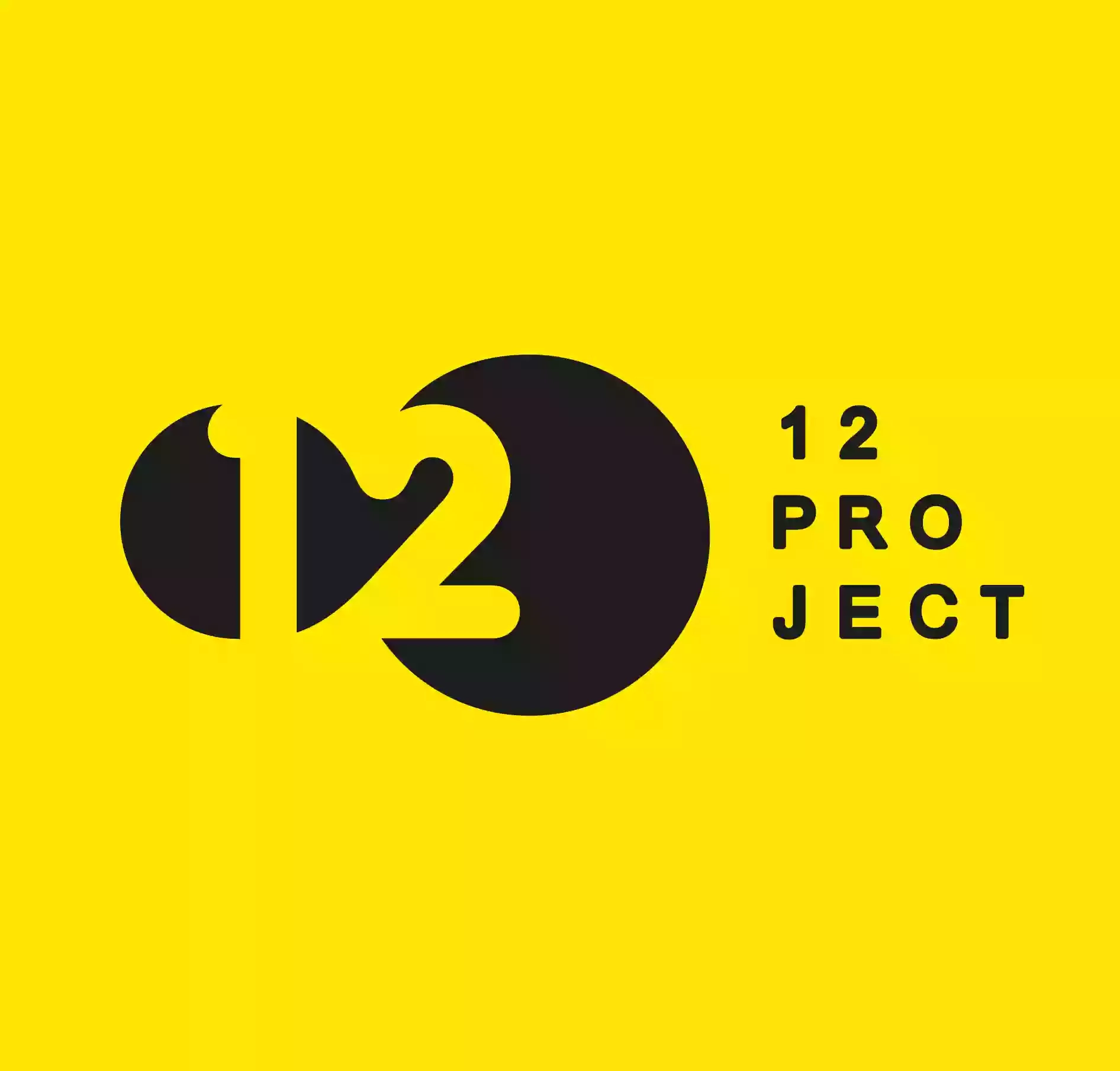 Project 12 English School