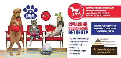 Ветеринарная клиника, комплекс "ZooCity Kharkiv"