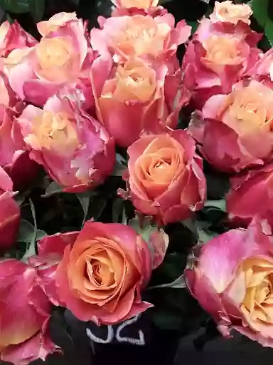 Классные цветы