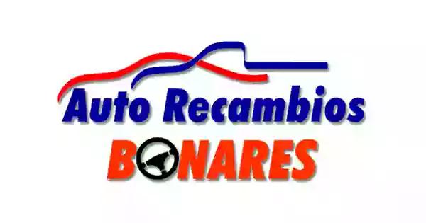 Auto recambios bonares (MOGUER)