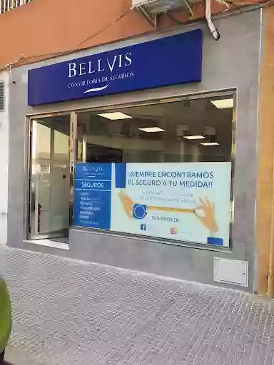 Bellvis Consultoría de Seguros