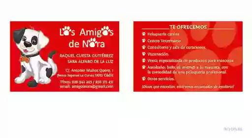 Los Amigos de Nora