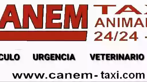 CANEM TAXI translado y Urgencias Mascotas