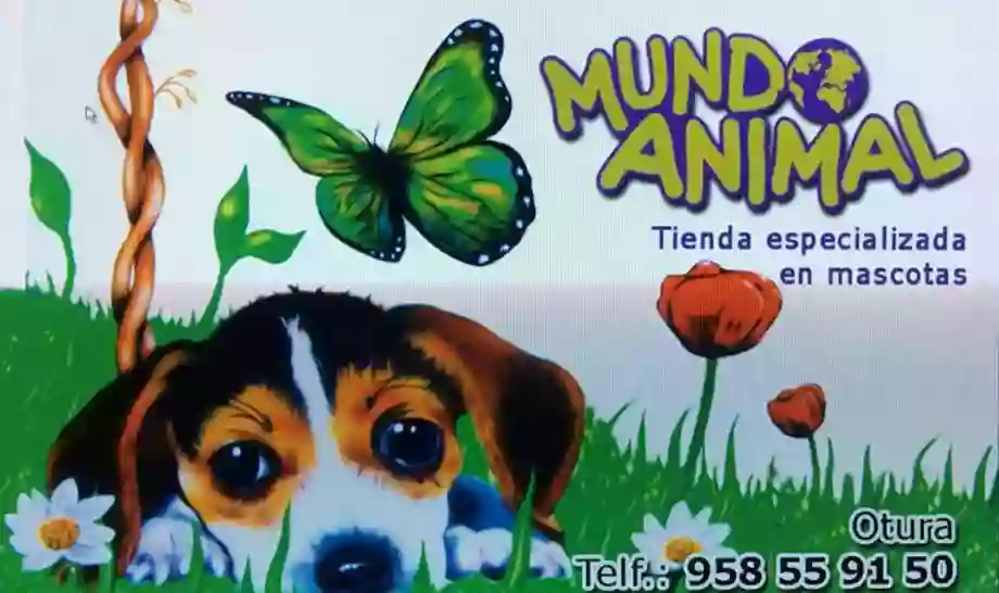 Mundo Animal