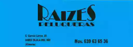 PELUQUERIA RAICES