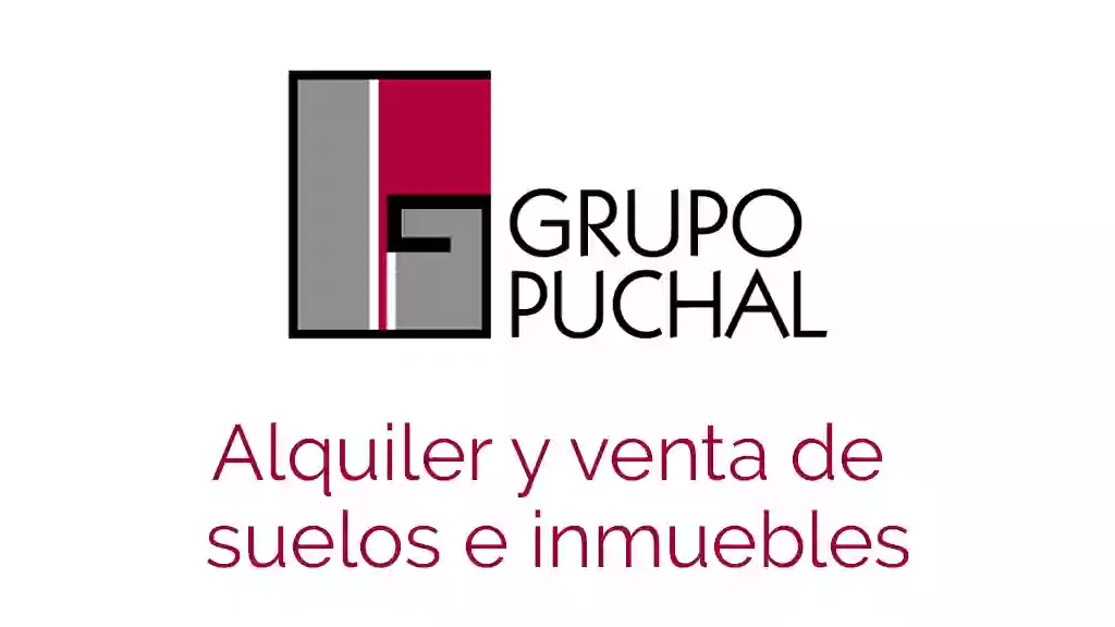 Grupo Puchal