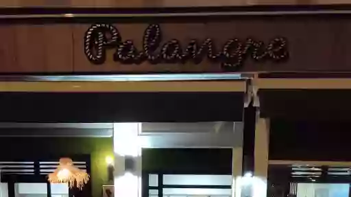 Bar Palangre