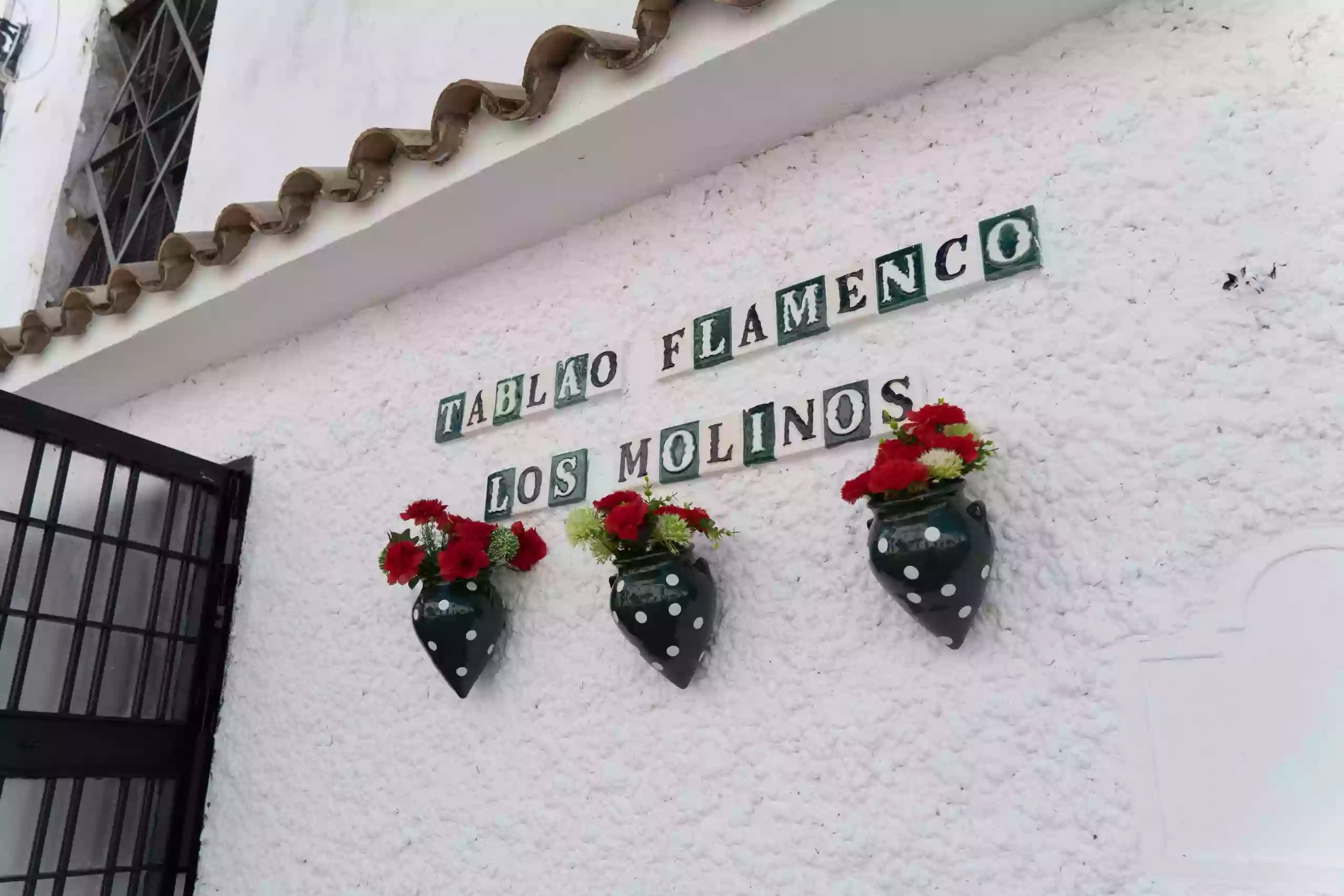 Tablao Flamenco los Molinos