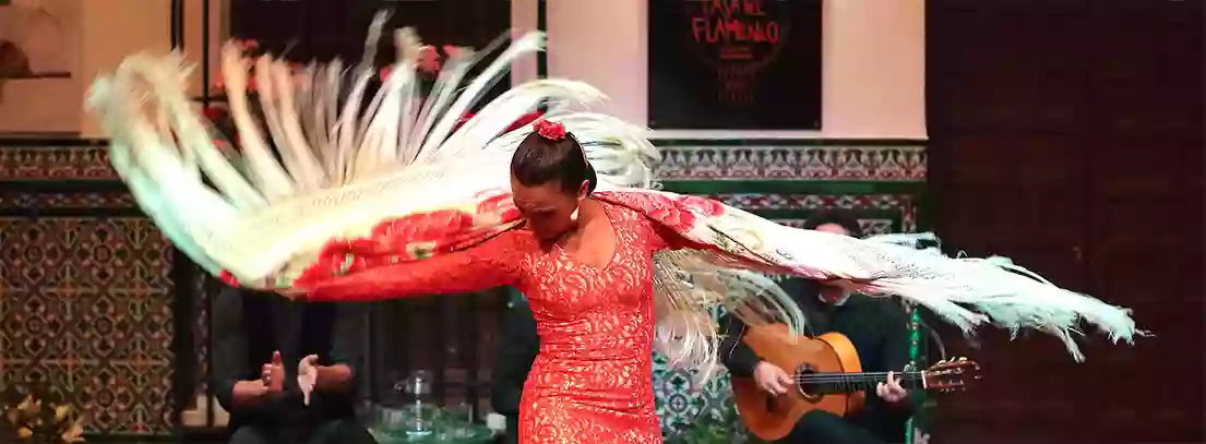 La Casa del Flamenco - Auditorio Alcántara