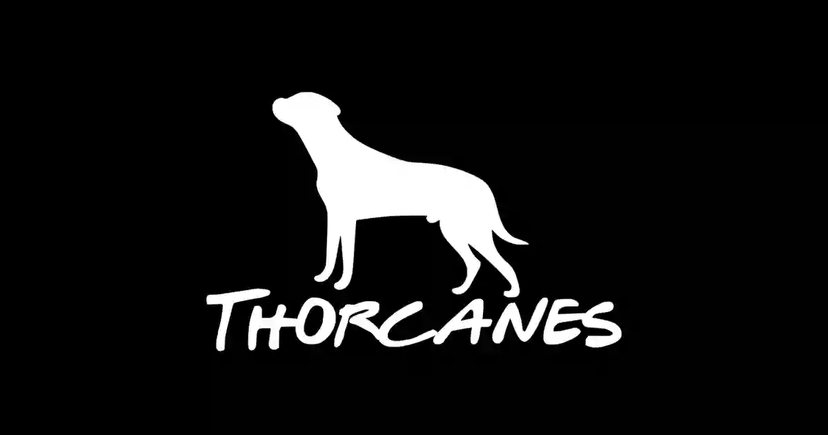 Thorcanes