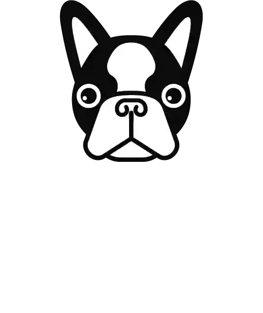 Daycare for Dogs Marbella