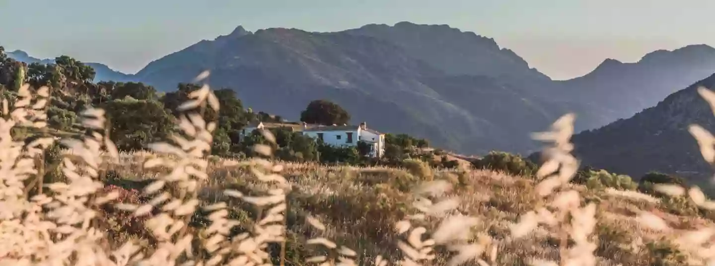 Finca La Donaira