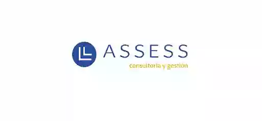 Assess consultoría y gestión, S. L