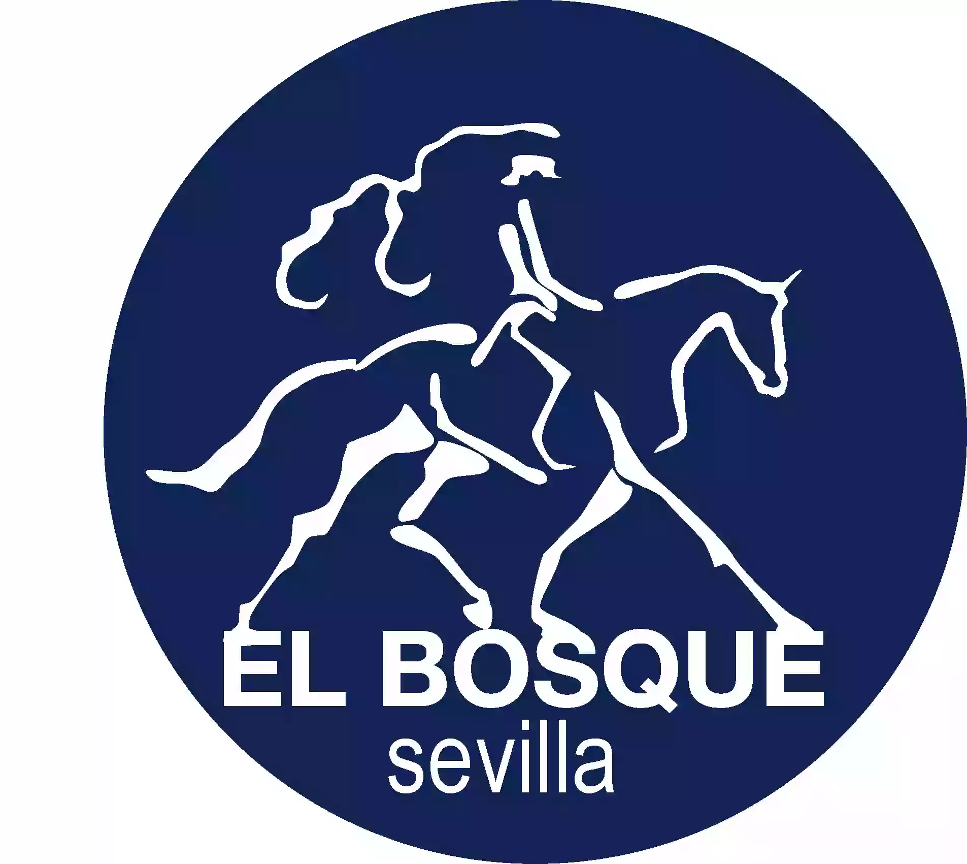 Centro Hípico El Bosque | Clases de Equitación Sevilla