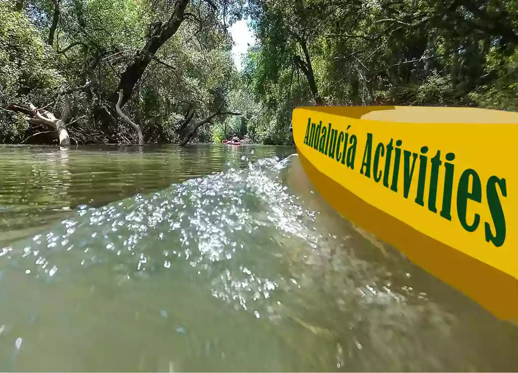 Andalucía Activities