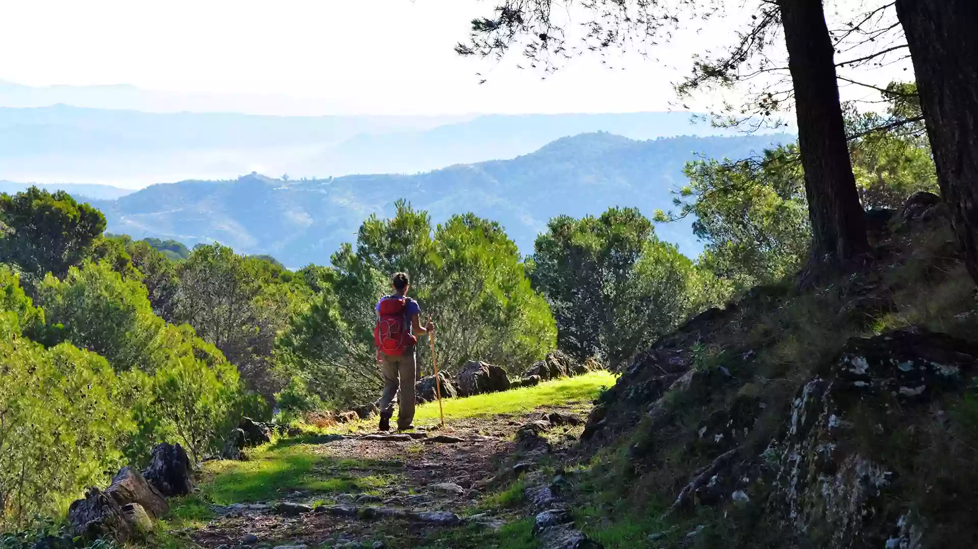 Marbella Hiking