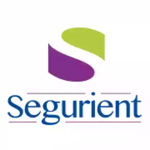 Segurient Insurance