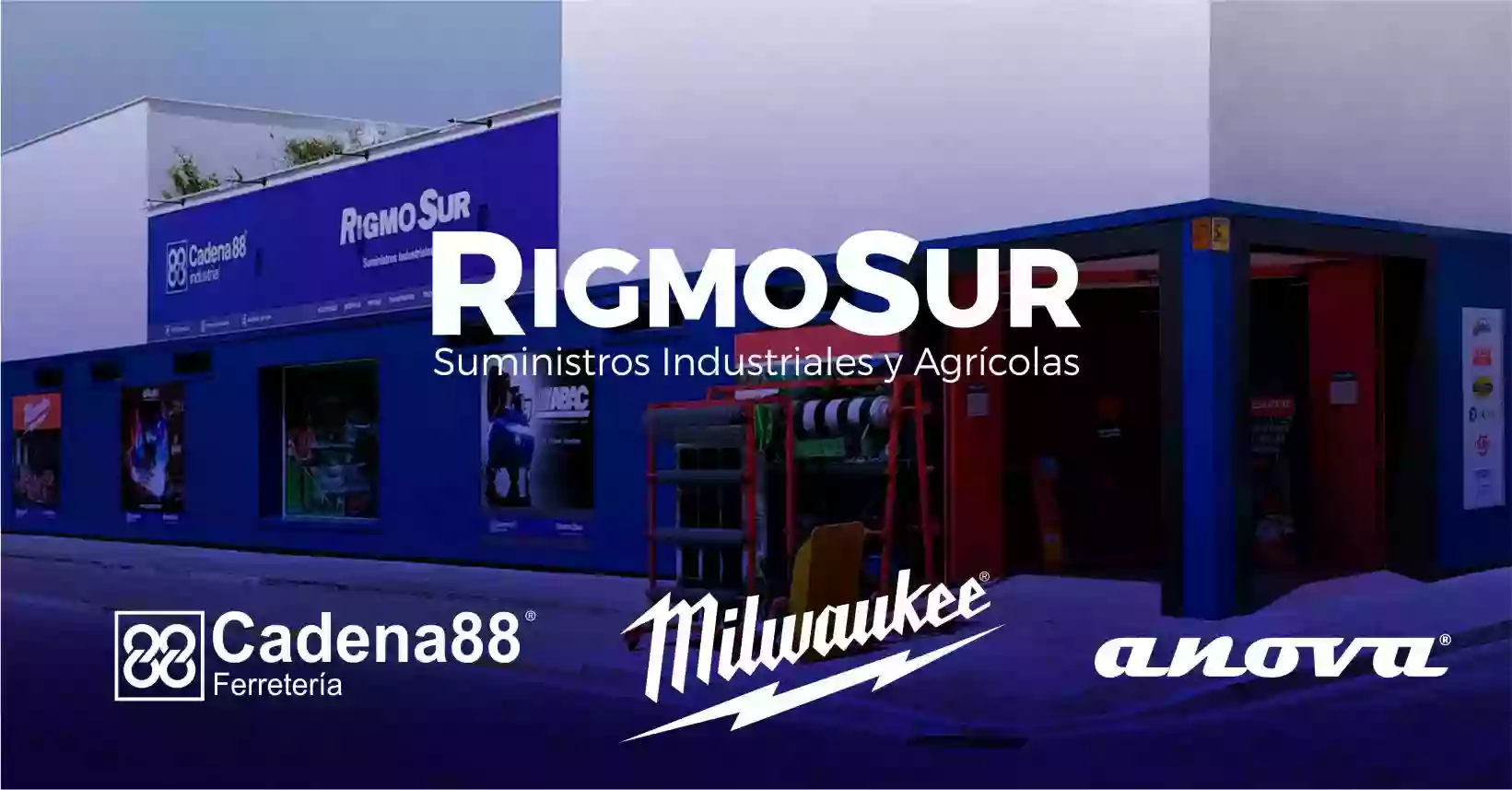 Rigmosur Suministros Industriales y Agrícolas