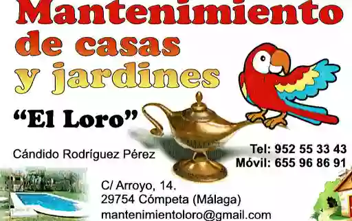 Mantenimiento El Loro