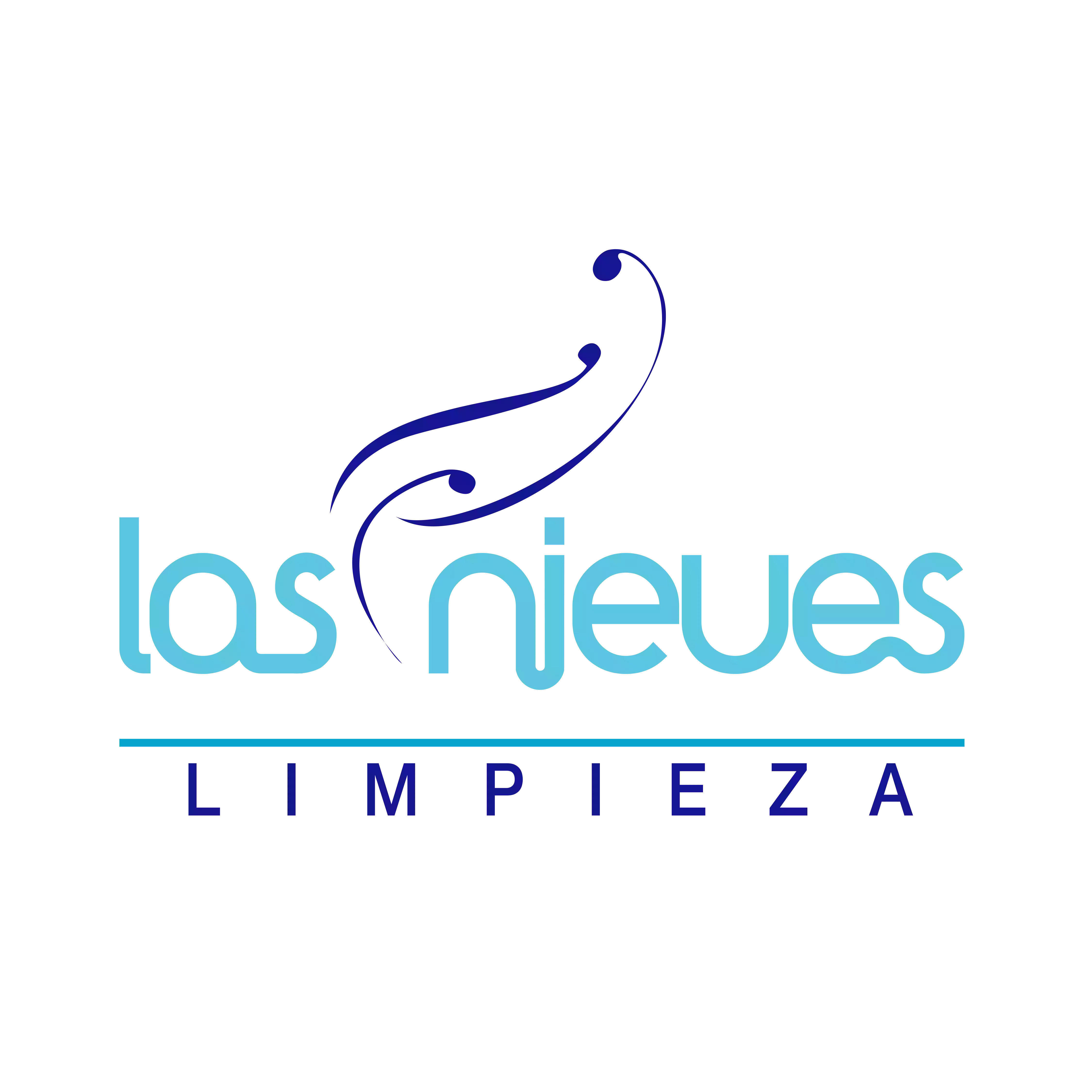 Limpieza Las Nieves