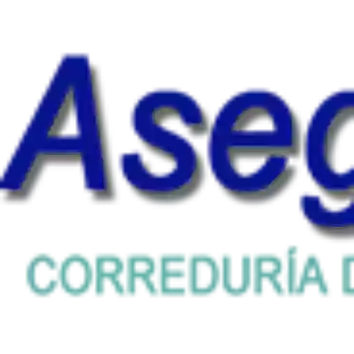 Asegura Group Gestion Integral S.L.