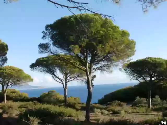 Parque natural de La Breña y Marismas del Barbate