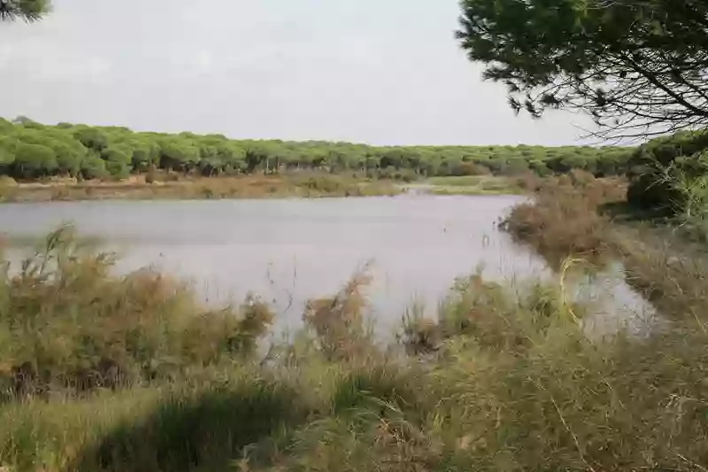 Sendero Laguna del Portil