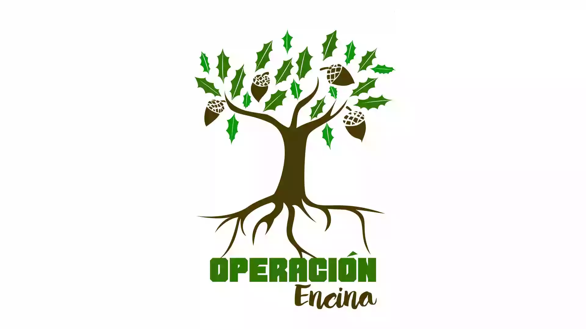 Operación Encina