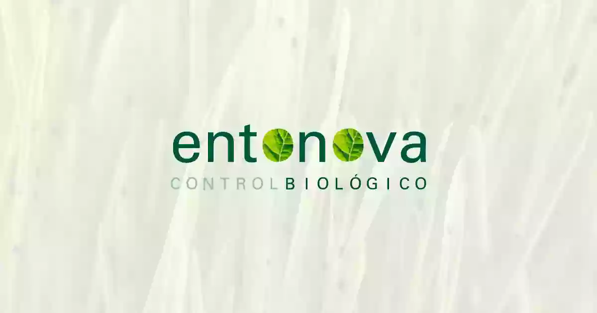 Entonova S.L.