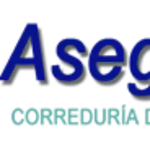 ASEGURA GROUP