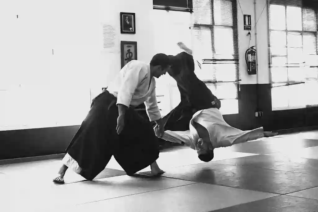 Heijoshin Aikido