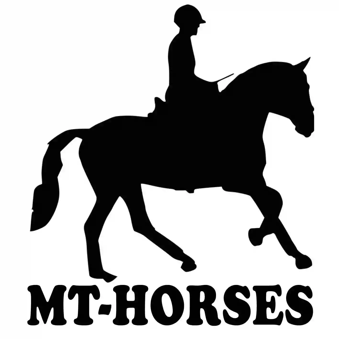 MT-Horses