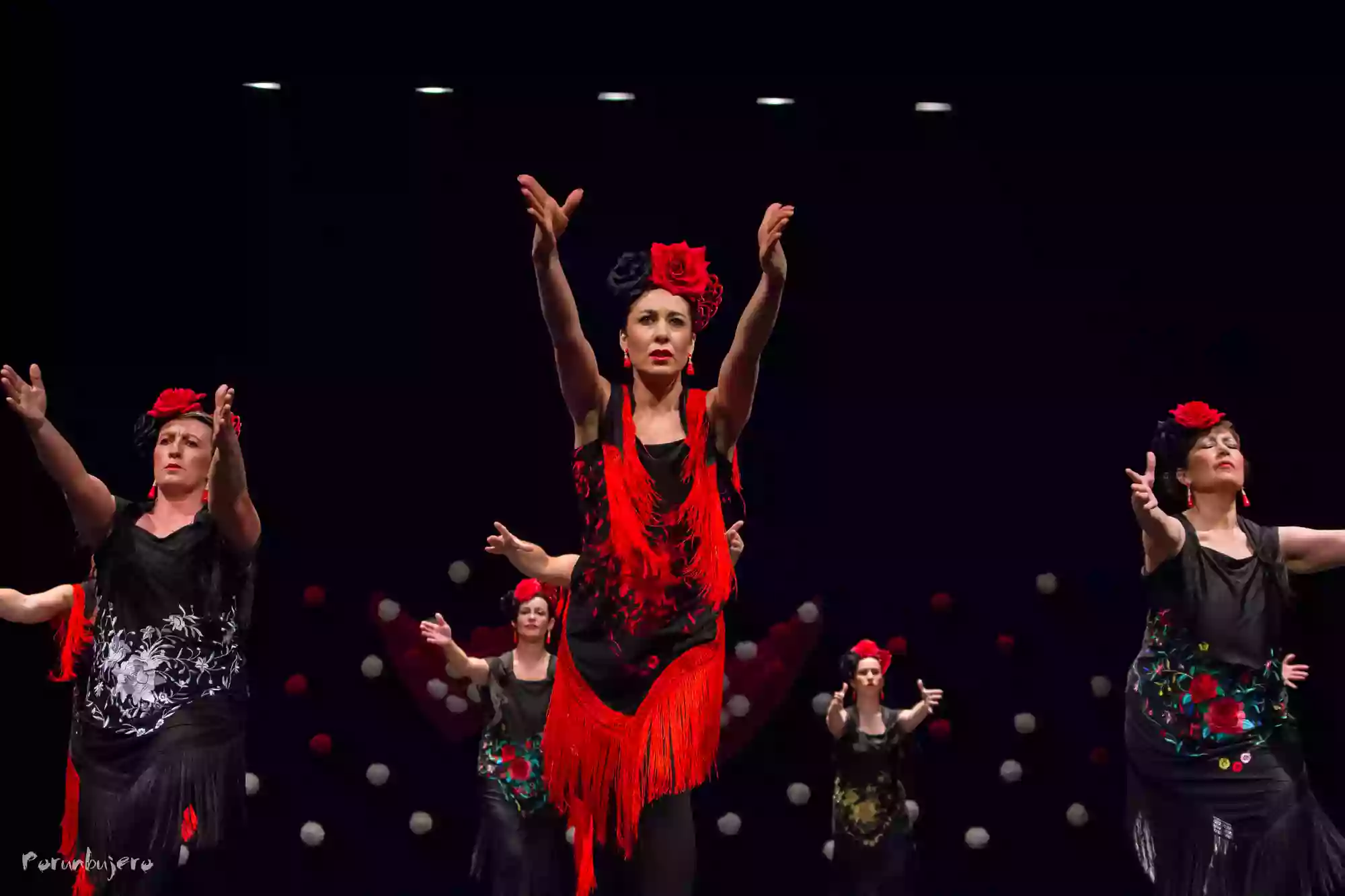 Asociación Cultural Locura Flamenca