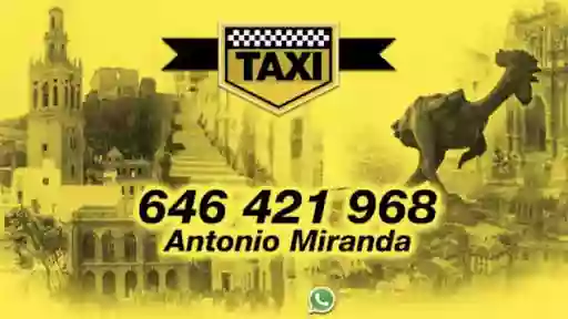 Taxi de Morón 8 Plazas | Antonio Miranda