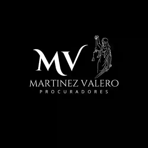 PILAR MARTINEZ VALERO PROCURADORA
